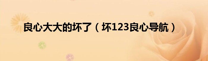 良心大大的壞了（壞123良心導航）