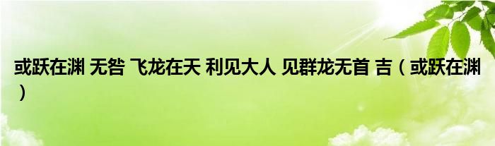 或躍在淵 無咎 飛龍在天 利見大人 見群龍無首 吉（或躍在淵）