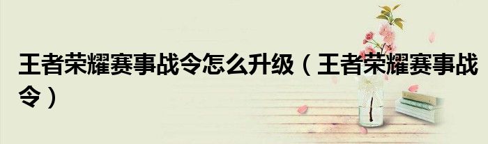 王者榮耀賽事戰(zhàn)令怎么升級(jí)（王者榮耀賽事戰(zhàn)令）