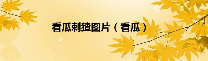 看瓜刺猹圖片（看瓜）