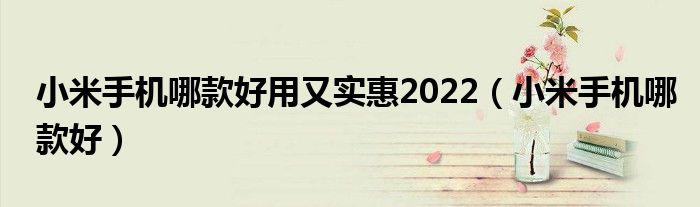 小米手機哪款好用又實惠2022（小米手機哪款好）