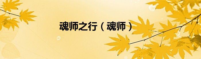 魂師之行（魂師）