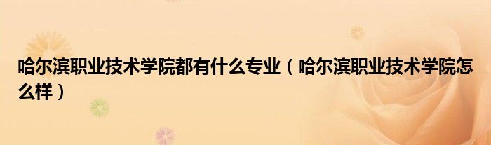 哈爾濱職業(yè)技術(shù)學(xué)院都有什么專業(yè)（哈爾濱職業(yè)技術(shù)學(xué)院怎么樣）