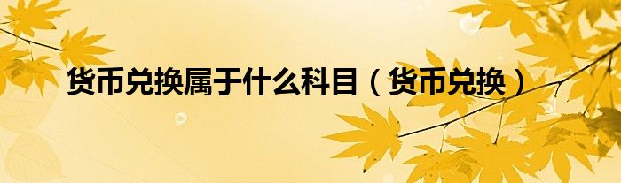 貨幣兌換屬于什么科目（貨幣兌換）