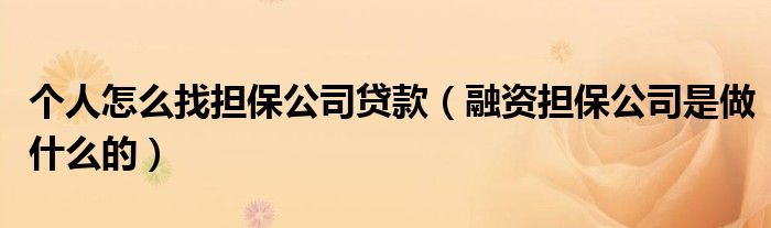 個(gè)人怎么找擔(dān)保公司貸款（融資擔(dān)保公司是做什么的）