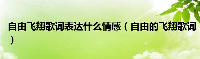 自由飛翔歌詞表達什么情感（自由的飛翔歌詞）