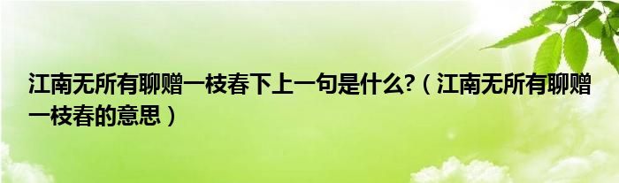 江南無所有聊贈一枝春下上一句是什么?（江南無所有聊贈一枝春的意思）