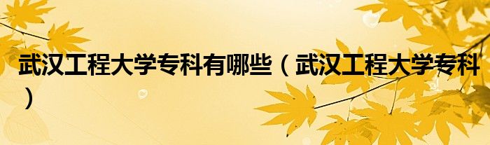 武漢工程大學(xué)?？朴心男ㄎ錆h工程大學(xué)?？疲? />
                                         </a>
                                    </div>
                                 <div   id=