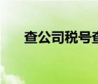 查公司稅號(hào)查詢(xún)（公司稅號(hào)查詢(xún)系統(tǒng)）