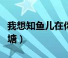我想知魚兒在你的荷塘（我像只魚兒在你的荷塘）