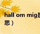 hall om mig是什么語（hall om mig什么意思）