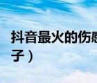 抖音最火的傷感句子文案（抖音最火的傷感句子）