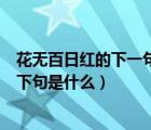 花無(wú)百日紅的下一句是什么?這句話(huà)是誰(shuí)說(shuō)的?（花無(wú)百日紅下句是什么）