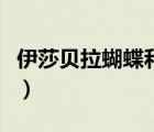 伊莎貝拉蝴蝶和晶閃蝶一樣嗎（伊莎貝拉蝴蝶）
