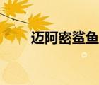 邁阿密鯊魚隱藏結(jié)局（邁阿密鯊魚）