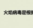 火焰病毒是根據(jù)什么進行命名（火焰病毒）
