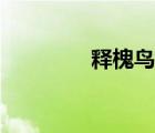 釋槐鳥百度百科（釋槐鳥）