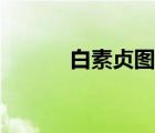 白素貞圖片大全高清（白素珍）
