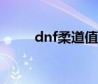 dnf柔道值得打造嗎（dnf柔道吧）