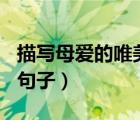 描寫母愛的唯美句子100字（描寫母愛的唯美句子）