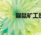 鼴鼠礦工是什么生物（鼴鼠礦工）