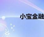 小寶金融官方網(wǎng)站（小寶金融）