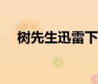 樹先生迅雷下載鏈接（樹先生迅雷下載）