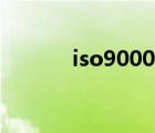 iso9000內(nèi)審員證（iso9000）