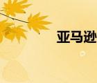 亞馬遜官網(wǎng)（kindle官網(wǎng)）