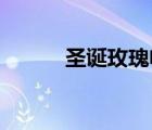 圣誕玫瑰電影（圣誕玫瑰 電影）