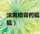 滾離婚膏藥狐全文閱讀番外（滾離婚by膏藥狐）