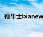 鞭牛士bianews是什么類型公司（鞭牛士）