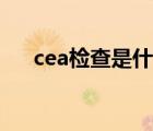 cea檢查是什么意思（cea是什么意思）