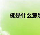 佛是什么意思很簡單（佛是什么意思）
