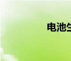 電池生產(chǎn)線（電池品牌）
