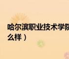 哈爾濱職業(yè)技術(shù)學(xué)院都有什么專業(yè)（哈爾濱職業(yè)技術(shù)學(xué)院怎么樣）