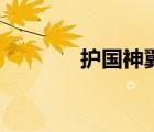 護國神翼的故事（護國神翼）