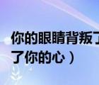 你的眼睛背叛了你的心鄭中基（你的眼睛背叛了你的心）