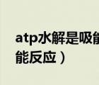 atp水解是吸能反應(yīng)還是放能（atp水解是吸能反應(yīng)）