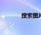 搜索圖片怎么搜（搜索圖片）