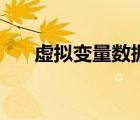 虛擬變量數(shù)據(jù)（什么叫虛擬變量數(shù)據(jù)）