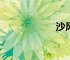 沙風(fēng)貓武士（沙風(fēng)）
