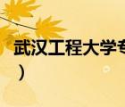 武漢工程大學(xué)?？朴心男ㄎ錆h工程大學(xué)?？疲?/>
                                    </a>
                                                </div>
                                    <div   id=