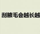 刮腋毛會越長越多嗎（腋毛越刮越多怎么辦）