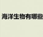 海洋生物有哪些捕食技巧（海洋生物有哪些）