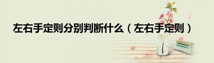 左右手定則分別判斷什么（左右手定則）