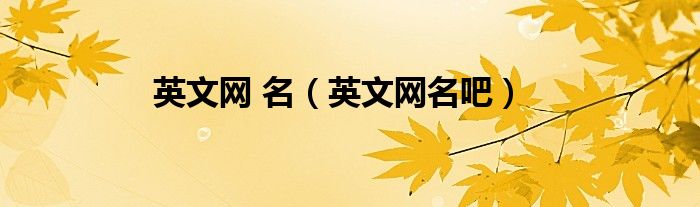 英文網(wǎng) 名（英文網(wǎng)名吧）