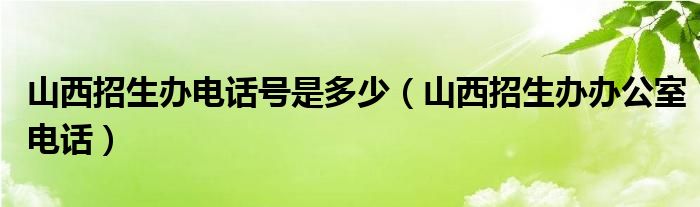 山西招生辦電話號(hào)是多少（山西招生辦辦公室電話）