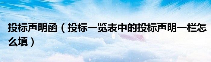 投標聲明函（投標一覽表中的投標聲明一欄怎么填）