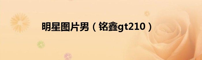 明星圖片男（銘鑫gt210）